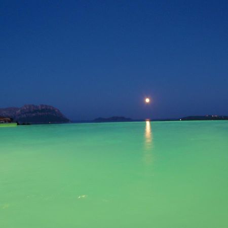 Villa And Pool Tavolara View Porto Istana Exterior photo