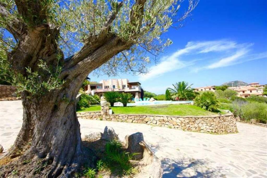 Villa And Pool Tavolara View Porto Istana Exterior photo