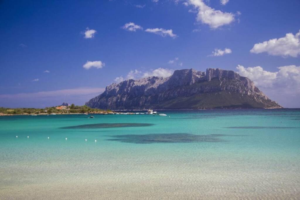 Villa And Pool Tavolara View Porto Istana Exterior photo