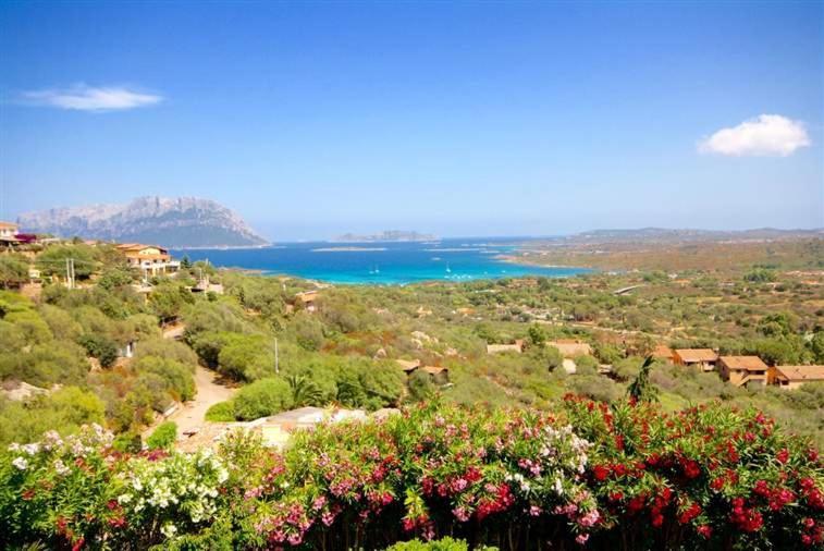 Villa And Pool Tavolara View Porto Istana Exterior photo